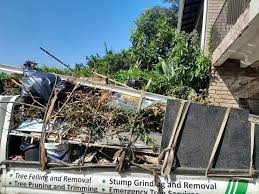 Best Commercial Junk Removal  in Timnath, CO